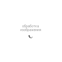 Кеды SALAMANDER 058-058D-50210 фото 1
